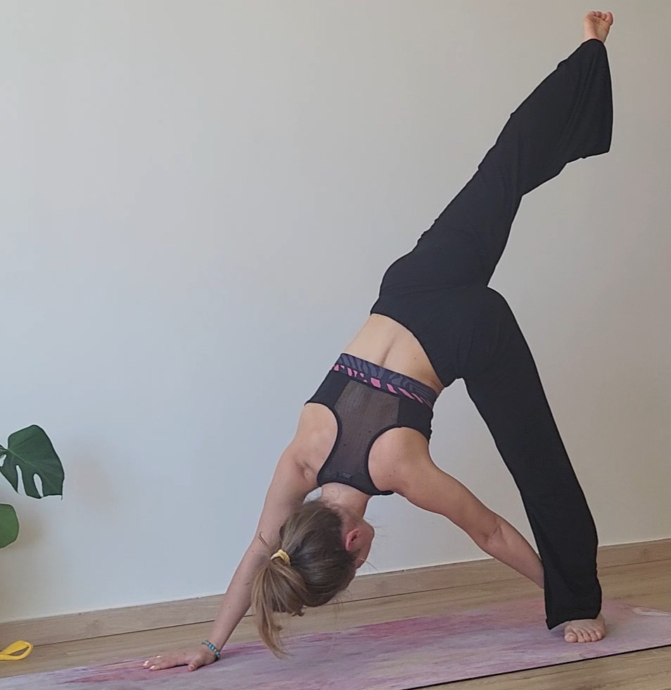 Hatha Yoga - View 1